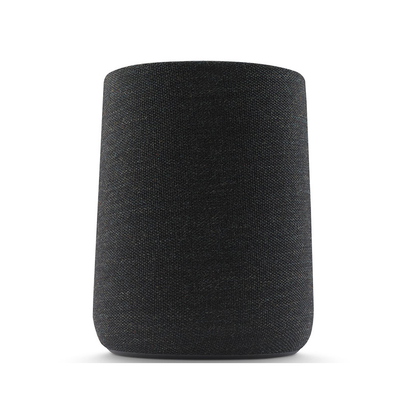 Loa Harman Kardon Citation One MKII-2