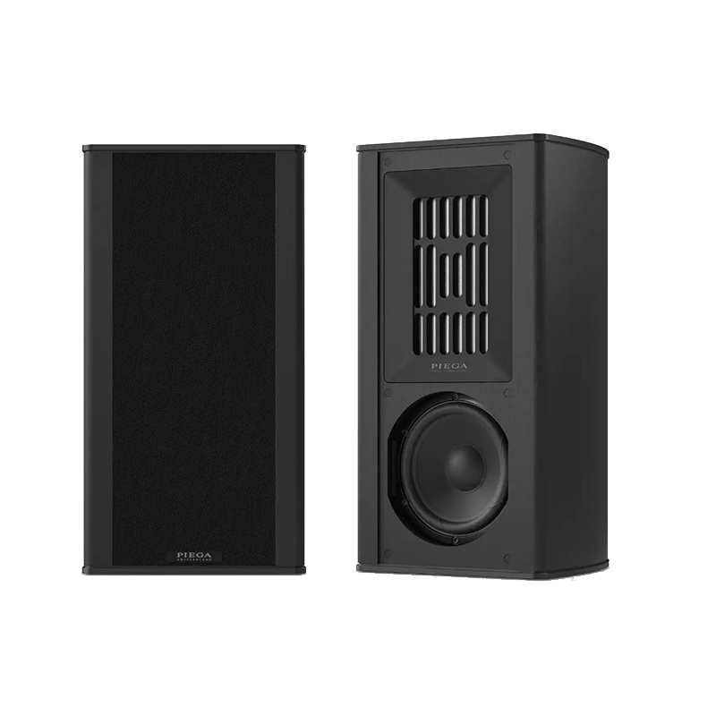 Loa Piega Coax 311 LTD-1