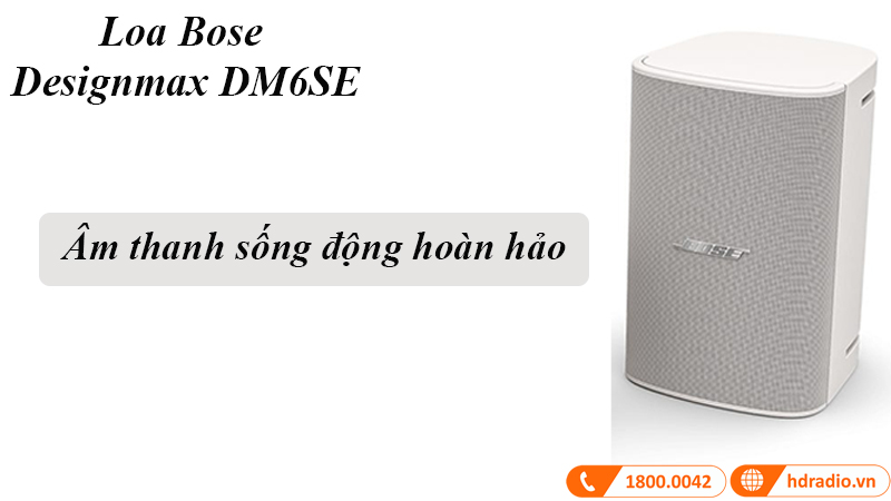 Loa Treo Tường Bose Designmax DM6SE, Bass 16.5cm, 125W-5