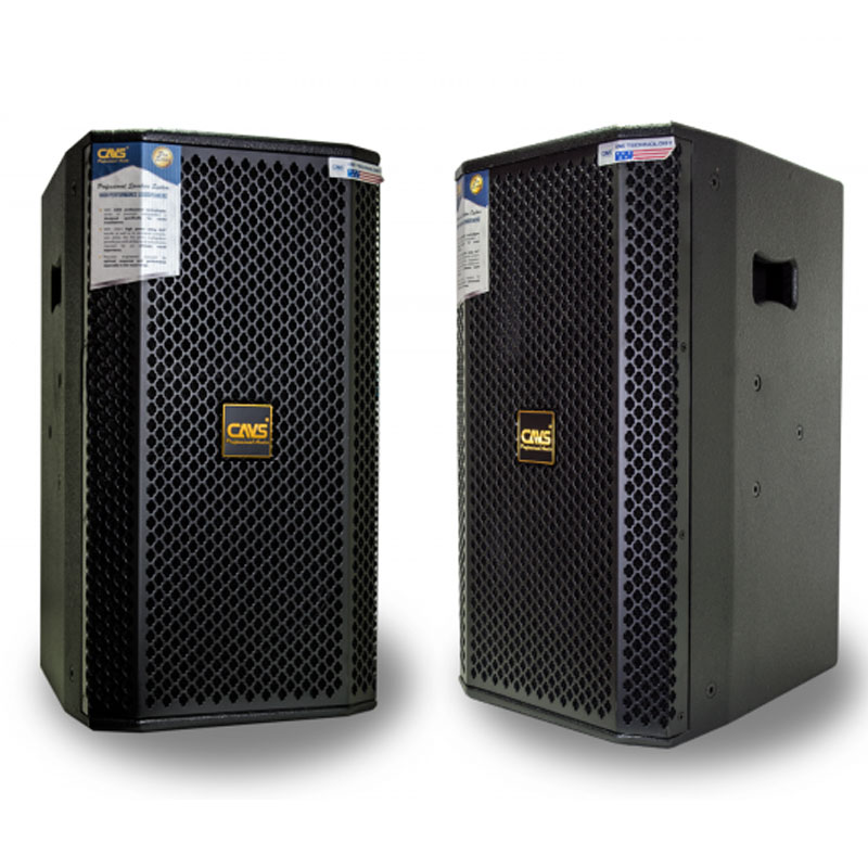 Loa Full CAVS P10 Pro, Bass 25cm, 300W-1
