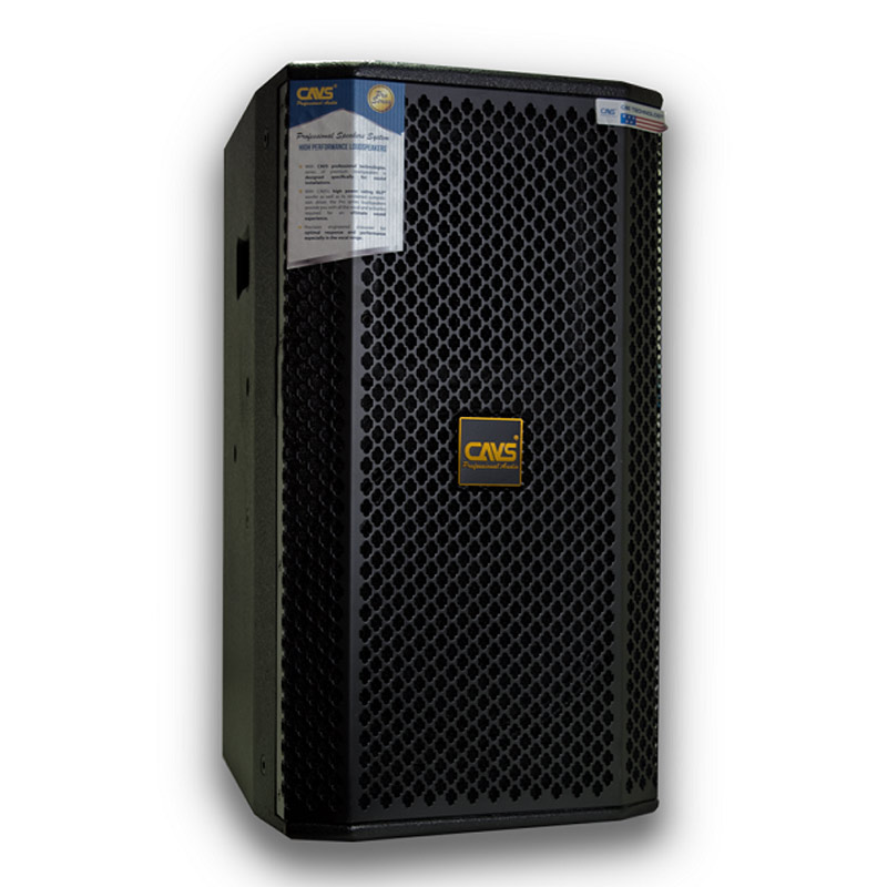 Loa Full CAVS P10 Pro, Bass 25cm, 300W-2