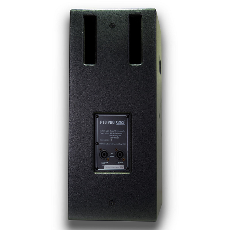 Loa Full CAVS P10 Pro, Bass 25cm, 300W-4