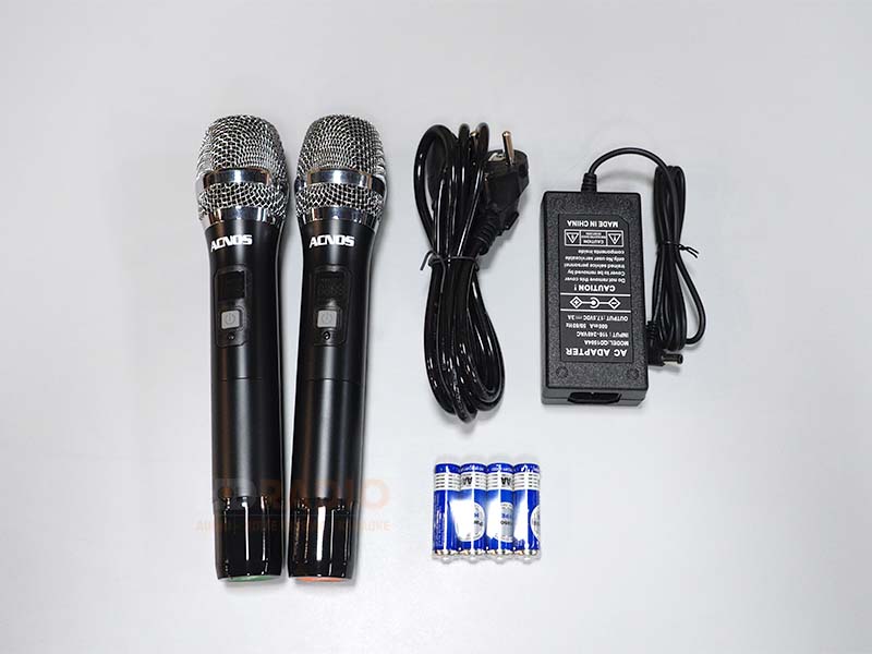 Loa Acnos CS250PU-11