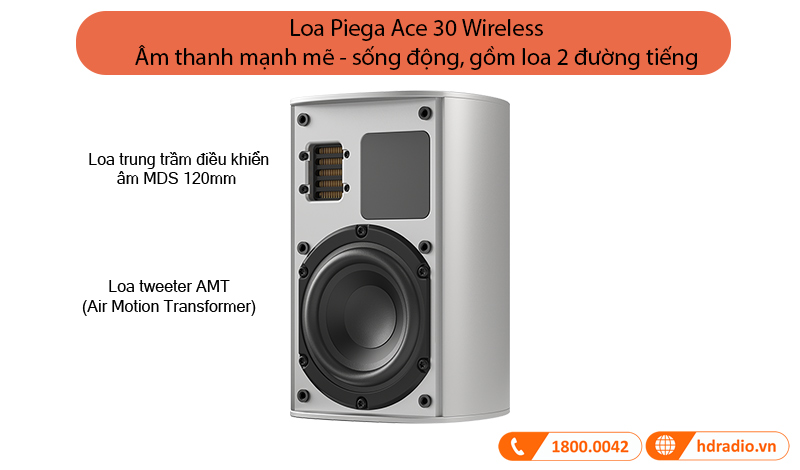 Loa Piega Ace 30 Wireless (Bass 12cm, Tần số 35Hz-25KHz)-3