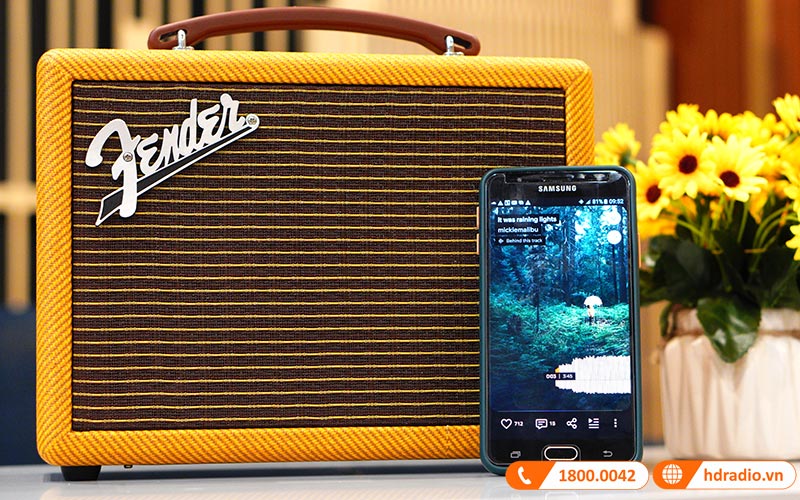 Loa Fender Indio 2 Tweed Chính Hãng, Công Suất 60W, Pin 25h, Bluetooth 4.2, AUX-18