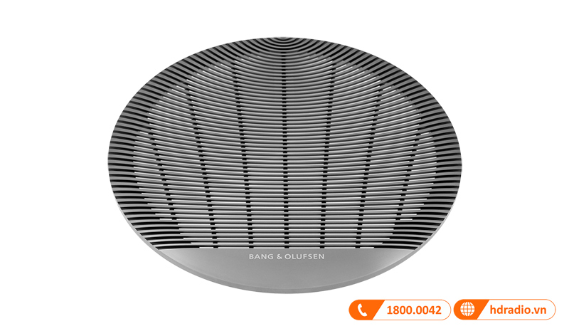 Loa B&O Celestial BOC66 Chính Hãng-5