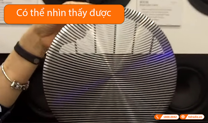 Loa B&O Celestial BOC82 Chính Hãng-6