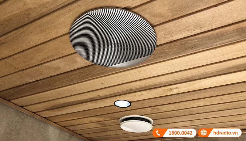 Loa B&O Celestial BOC82 Chính Hãng-8