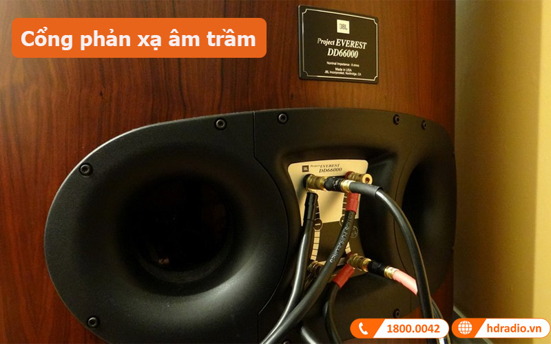 Loa JBL Everest DD66000 (Độ nhạy 96dB, Tần số 45Hz-50KHz)-4