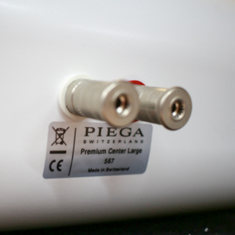 Loa Piega Premium Large (Độ nhạy 91dB, Tần số 40Hz-50KHz)-3