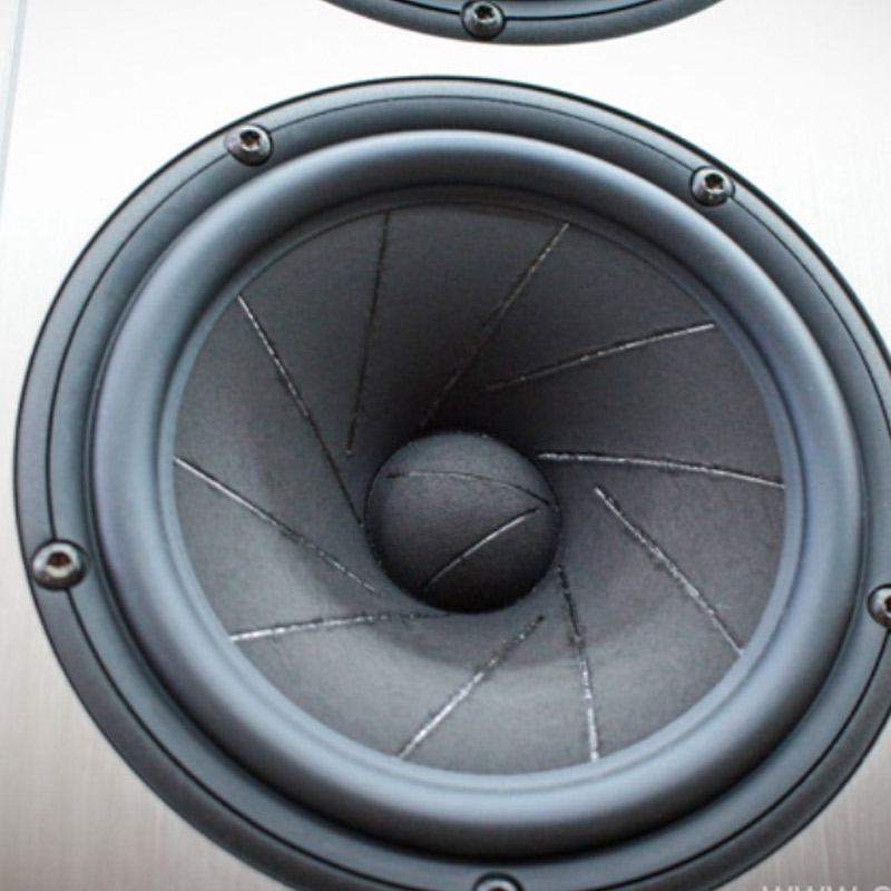 Loa Piega Coax 90.2 (Độ nhạy 92, Tần số 24Hz-50KHz)-2