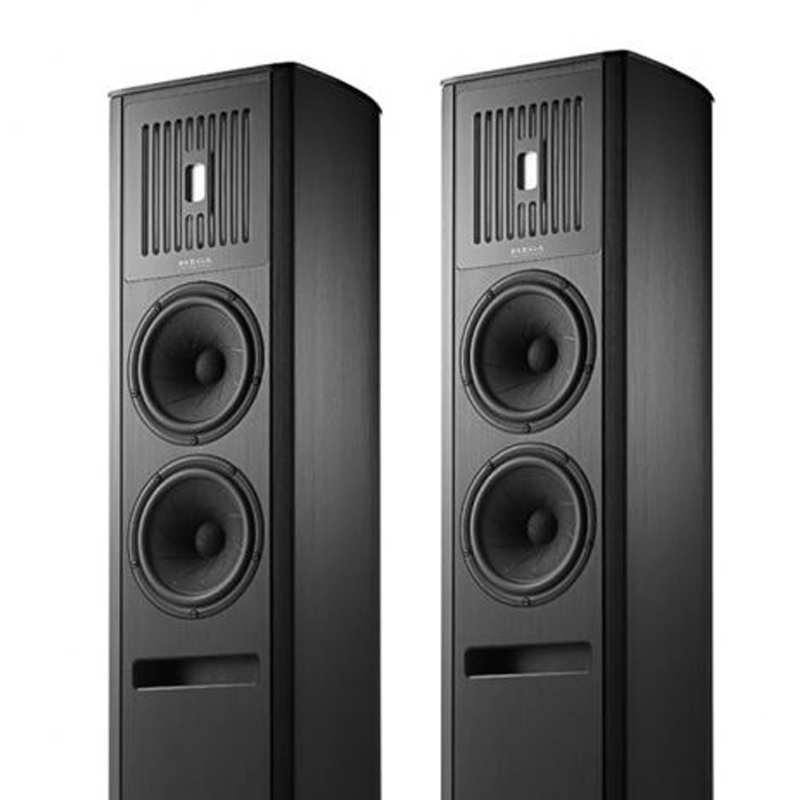 Loa Piega Coax 90.2 (Độ nhạy 92, Tần số 24Hz-50KHz)-3