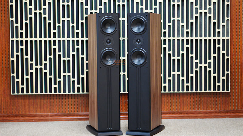 Loa Paramax D88 Limited, Bass 30cm, Công Suất 120W, Bảo Hành 5 năm-8