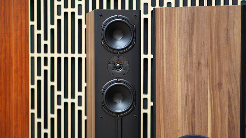 Loa Paramax D88 Limited, Bass 30cm, Công Suất 120W, Bảo Hành 5 năm-12