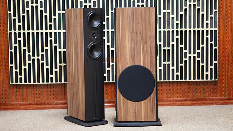 Loa Paramax D88 Limited, Bass 30cm, Công Suất 120W, Bảo Hành 5 năm-13