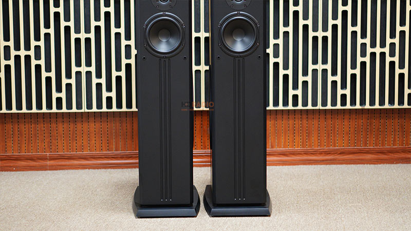 Loa Paramax D88 Limited, Bass 30cm, Công Suất 120W, Bảo Hành 5 năm-14