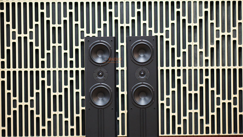 Loa Paramax D88 Limited, Bass 30cm, Công Suất 120W, Bảo Hành 5 năm-16