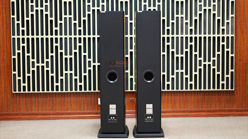 Loa Paramax D88 Limited, Bass 30cm, Công Suất 120W, Bảo Hành 5 năm-17