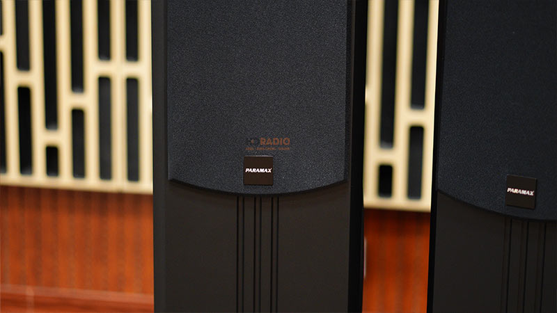 Loa Paramax D88 Limited, Bass 30cm, Công Suất 120W, Bảo Hành 5 năm-21