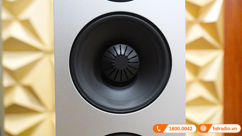 Loa Definitive Demand D17-6