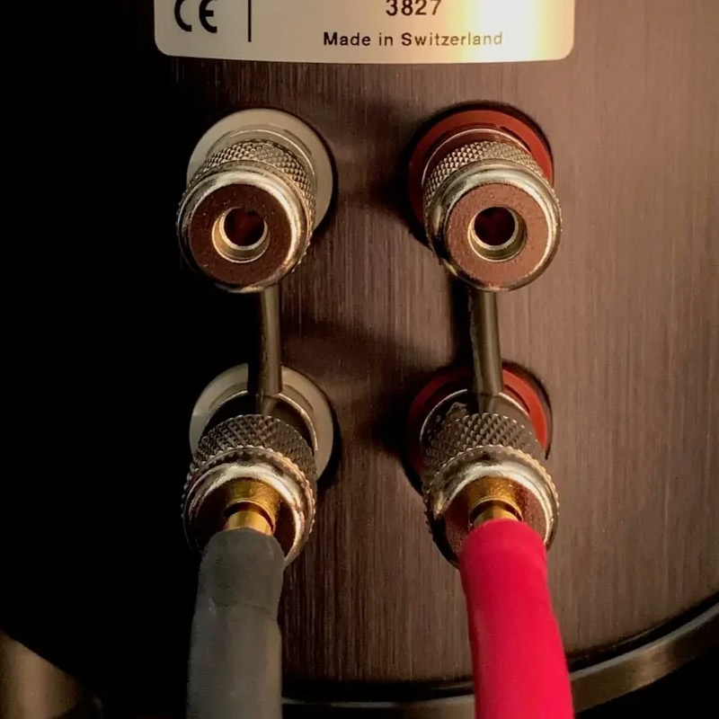 Loa Piega Coax 311 (Độ nhạy 90dB, Tần số 35hz-50KHz)-5