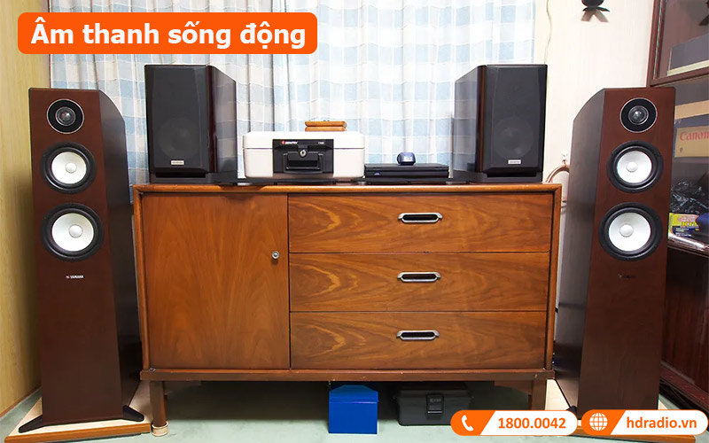 Loa Yamaha NS-F700 (Độ nhạy 89dB, Tần số 45Hz-50KHz)-3