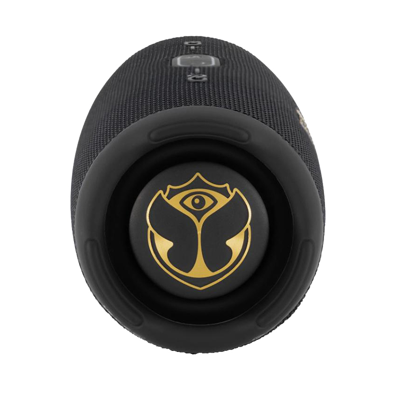 Loa JBL Charge 5 Tomorrowland Edition-4
