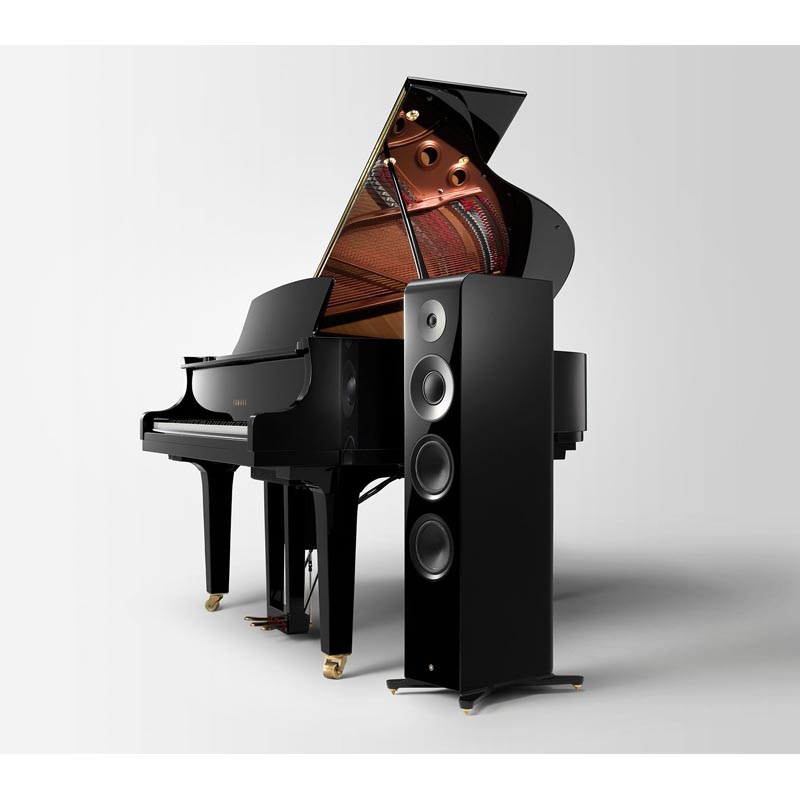 Loa Yamaha NS-2000A (Độ nhạy 88dB, Tần số 34Hz-65kHz)-3