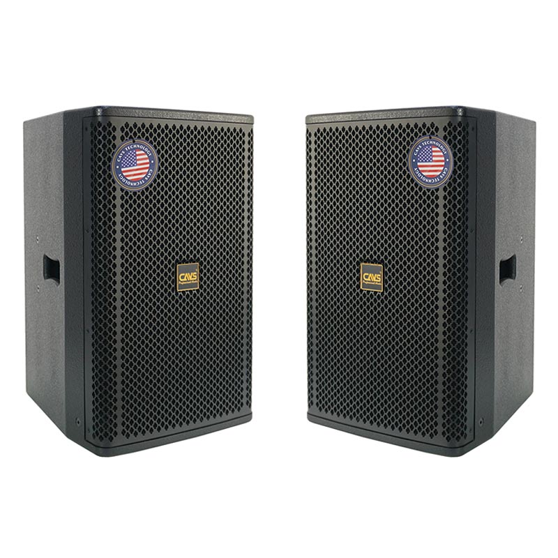 Loa CAVS P12 Plus, Bass 30cm, 500W-1