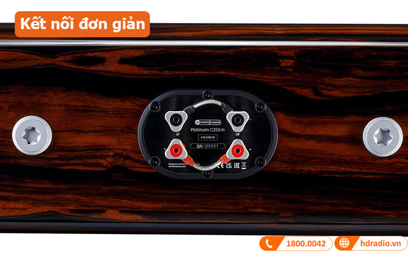 Loa Monitor Audio Platinum C250 3G (Độ nhạy 88 dB, Tần số 30Hz-60KHz)-5