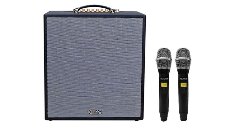 Loa Acnos CS300 NEW-1