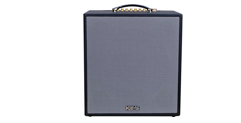 Loa Acnos CS300 NEW-2