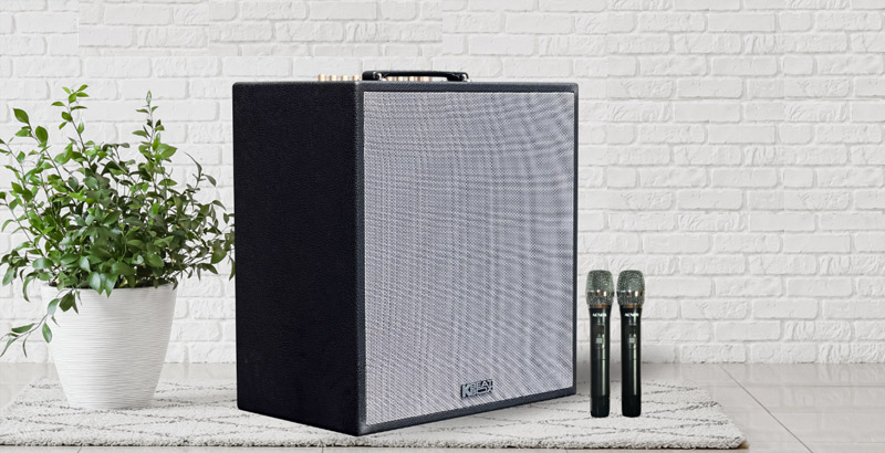 Loa Acnos CS300 NEW-3