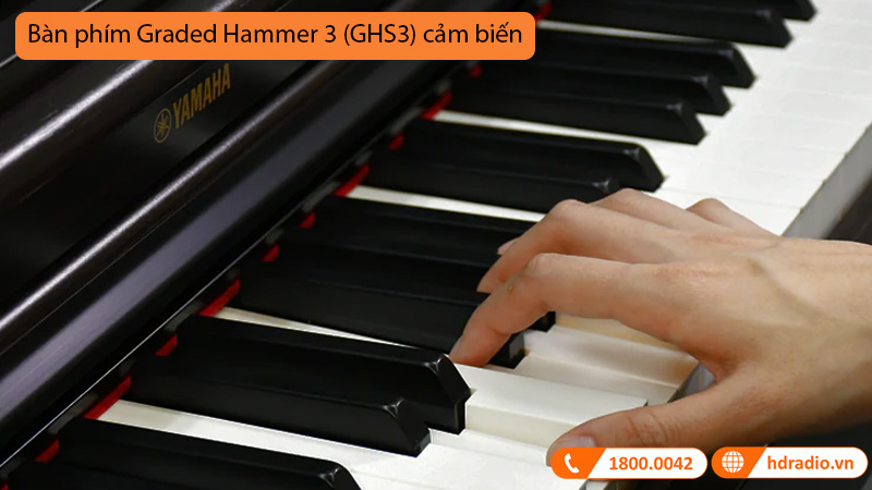 Đàn Piano Yamaha YDP 164, piano điện-6