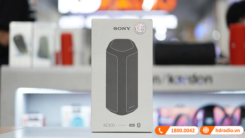 Loa Sony SRS-XE300-3