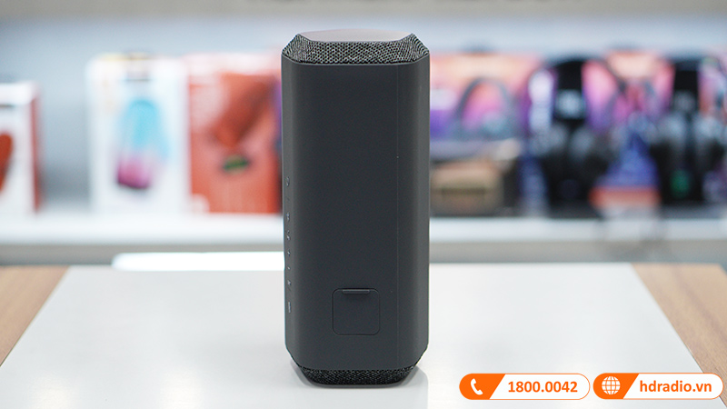 Loa Sony SRS-XE300-9