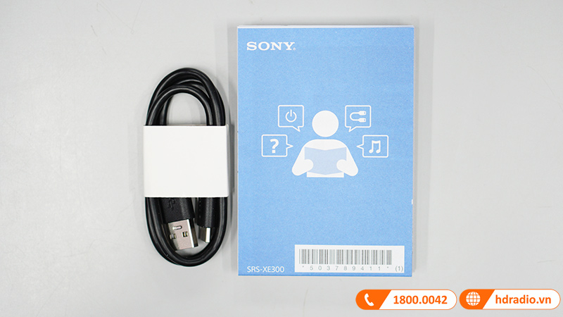 Loa Sony SRS-XE300-14