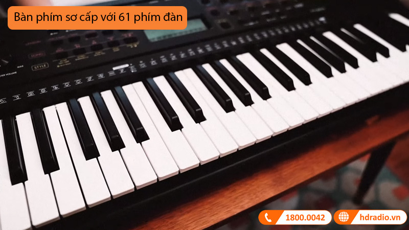 Đàn Organ Yamaha PSR E273-4
