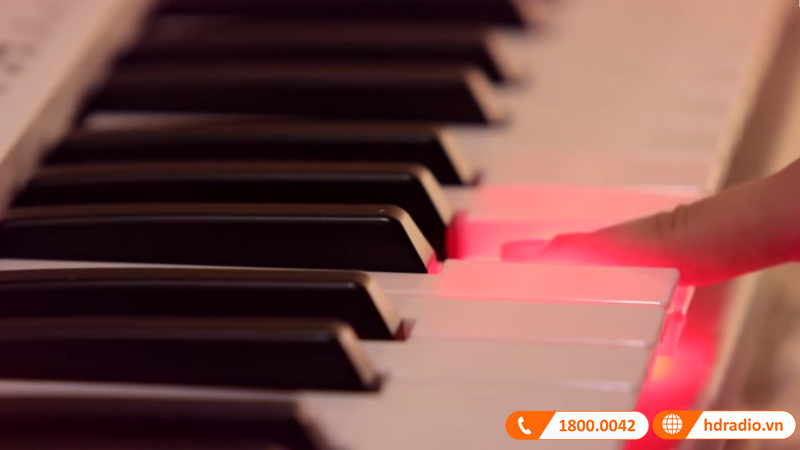 Đàn Organ Yamaha EZ300-8