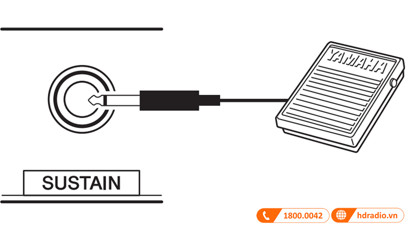 Đàn Organ Yamaha EZ300-24