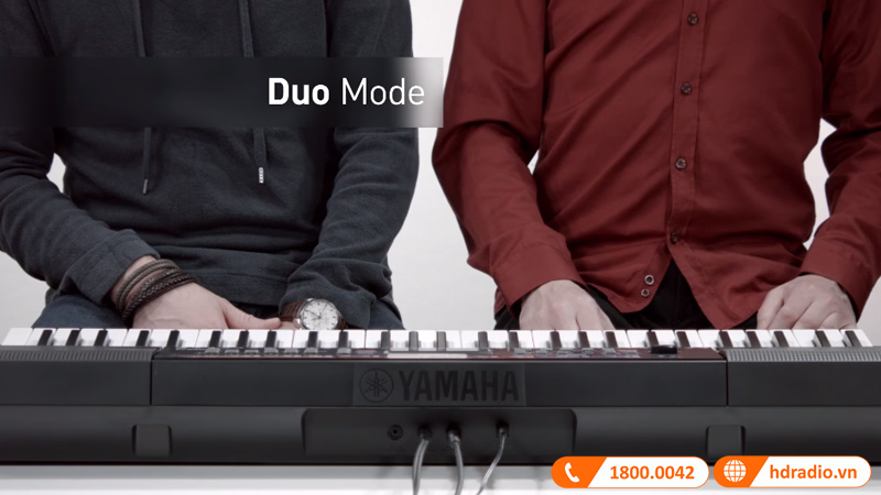 Đàn Organ Yamaha PSR E263-12