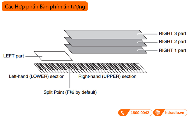 Đàn Organ Yamaha PSR SX700-7