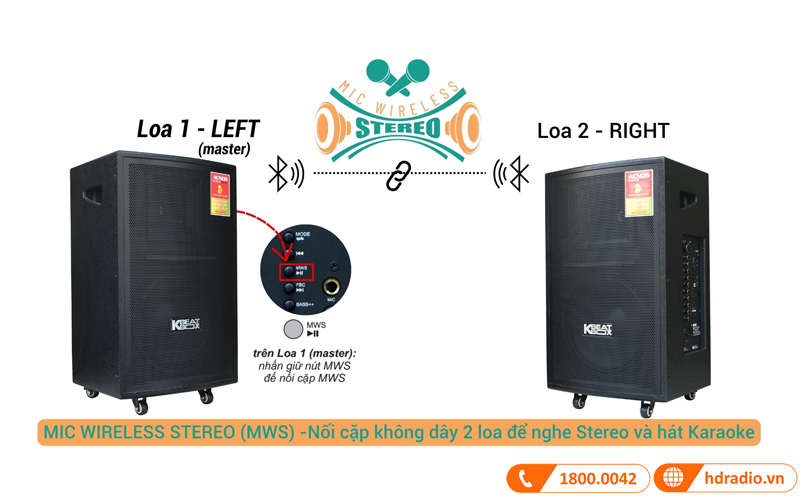 Loa Acnos CB31, Bass 30cm, Công suất PMPO 1000W, kèm 2 tay mic-2