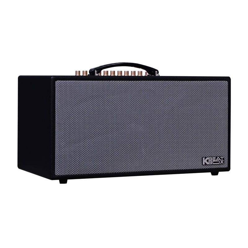 Loa Acnos CS450SRV-2