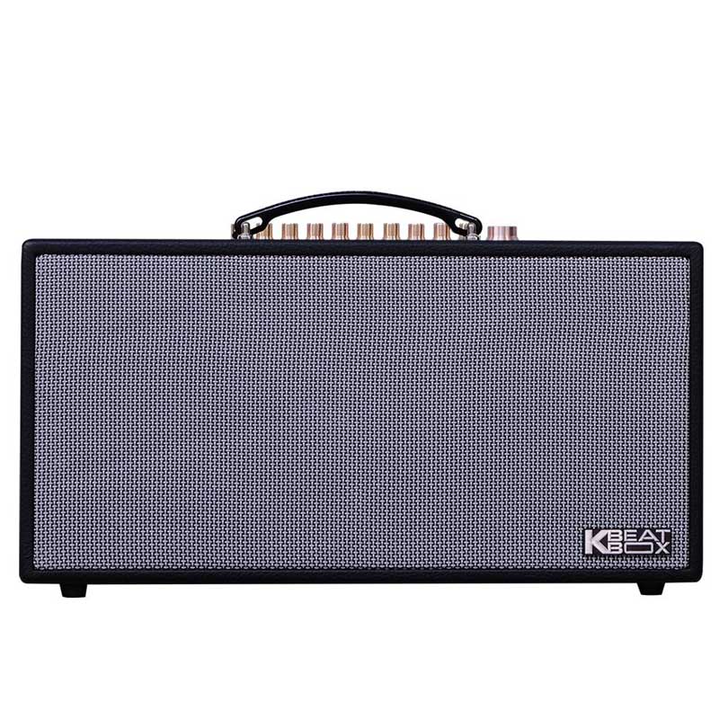 Loa Acnos CS450alpha-2