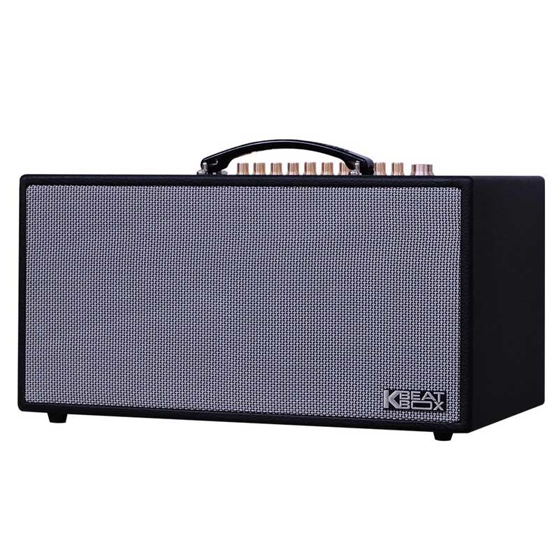 Loa Acnos CS450alpha-3