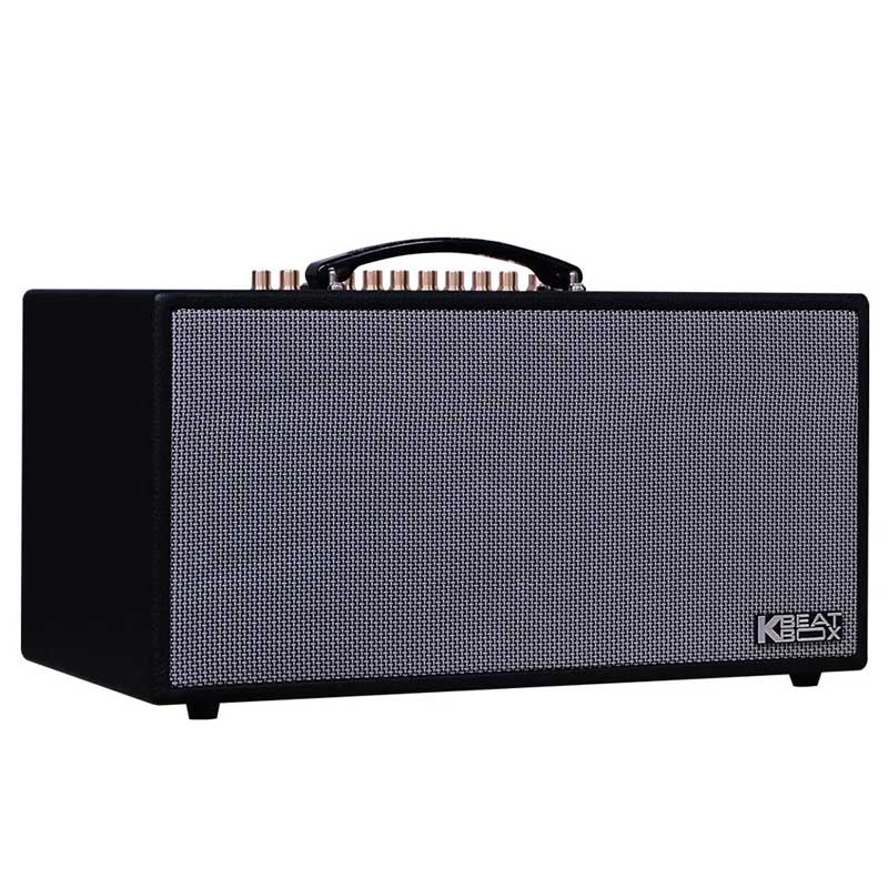 Loa Acnos CS450alpha-4