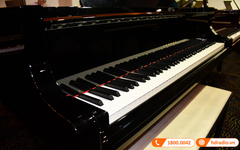 Đàn Piano Yamaha C1X-16