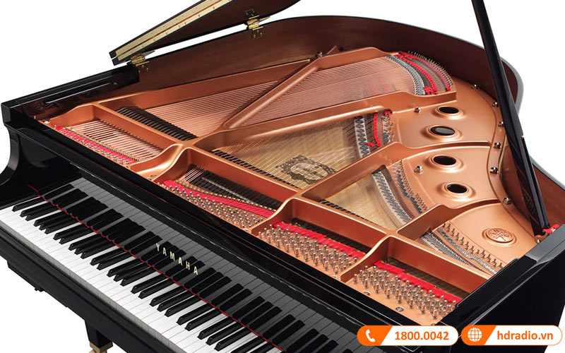 Đàn Piano Yamaha GC1-6