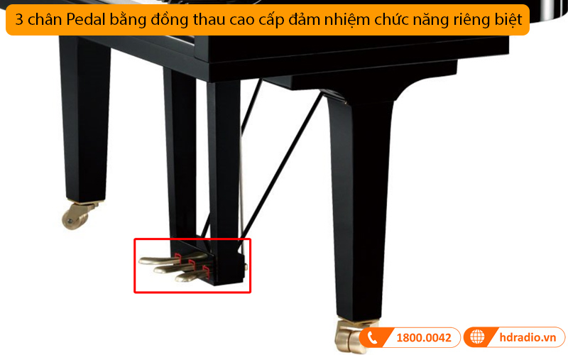 Đàn Piano Yamaha C7X-10